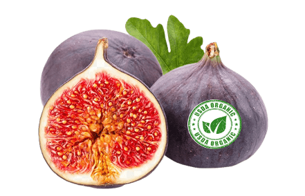 The Fig App – K-12 Nutrition Professional Development & Wellness